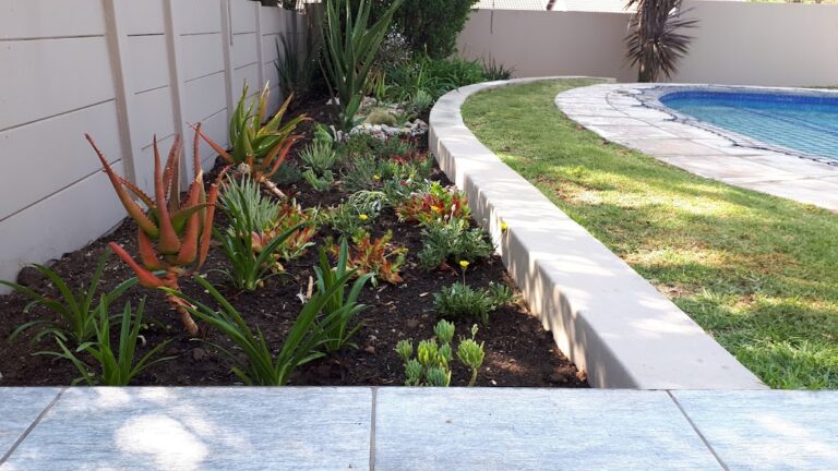 Water-wise poolside garden bed with aloes, succulents and colourful low-maintenance planting