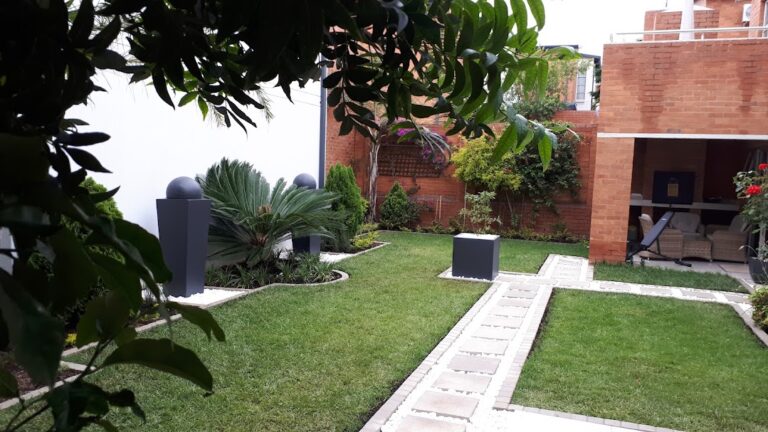 Landscaped lawn with paved garden pathway, architectural planting and structured garden beds