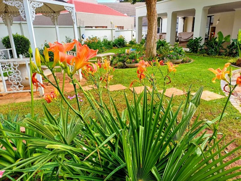 Layered garden border with vibrant flowering plants, ornamental grasses and contrasting foliage