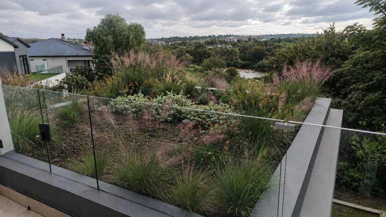 contemporary-roof-garden-johannesburg
