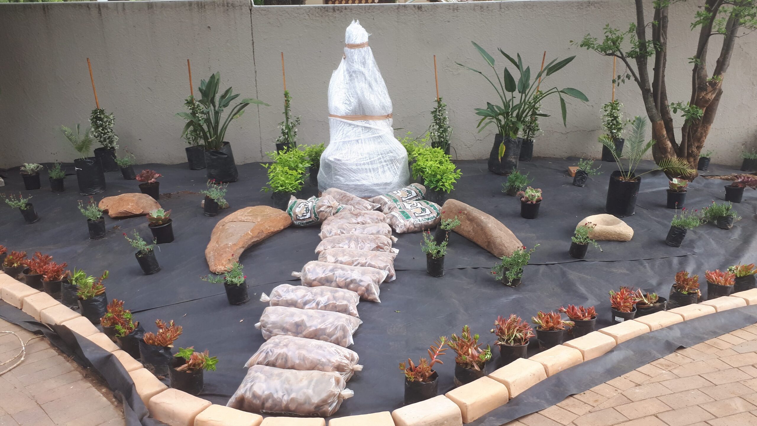 Zen garden layout in progress with plants and pebbels around Buddha statue
